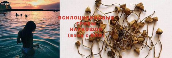 стафф Алзамай