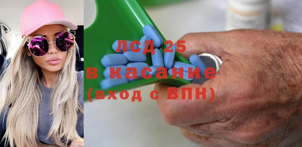 стафф Алзамай